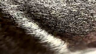 Masturbation Instruction Mp4