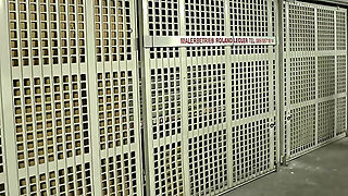 The Hunger Games: Catching Fire In Her Pussy (Full Porn Movie)